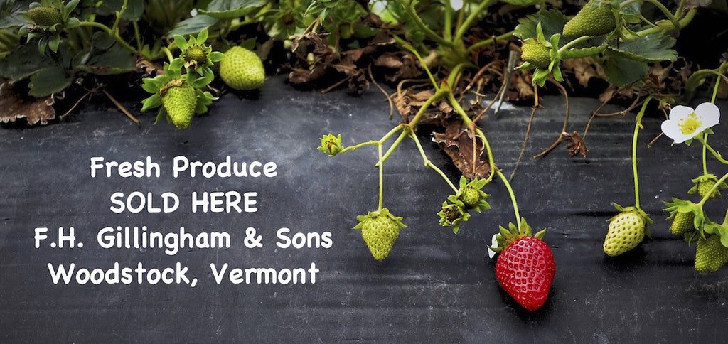 Trip to the produce stand