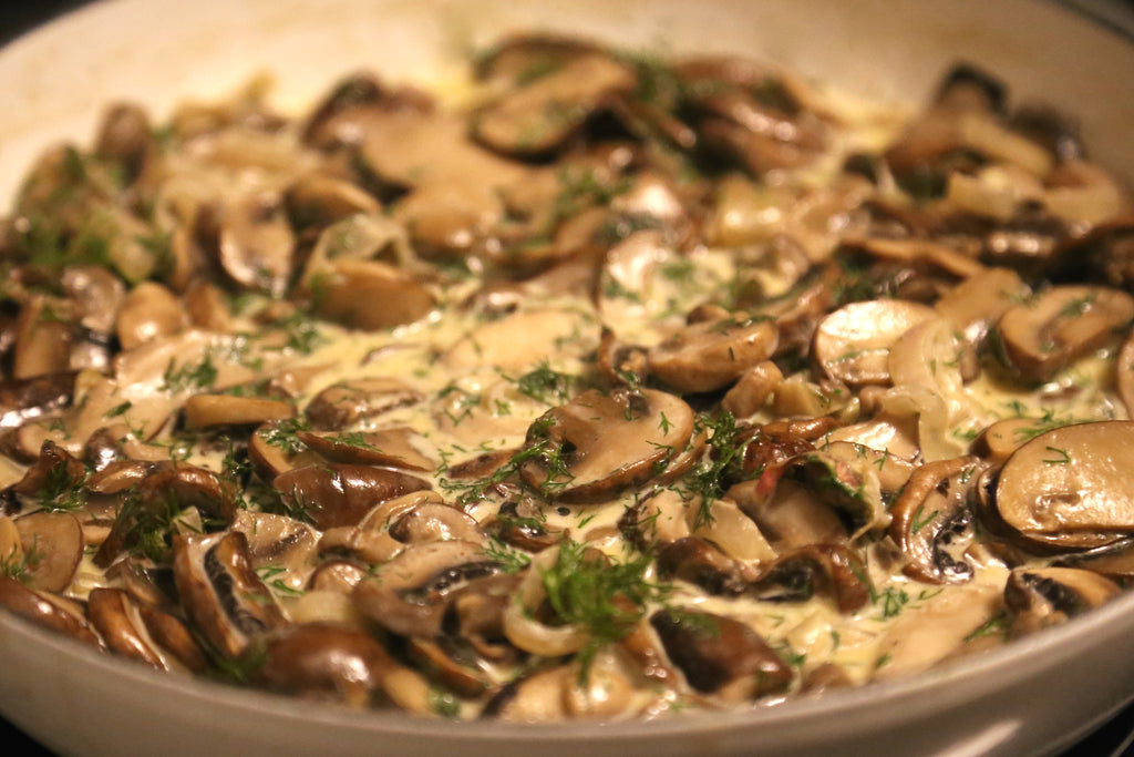 Foraging for Winter Comfort