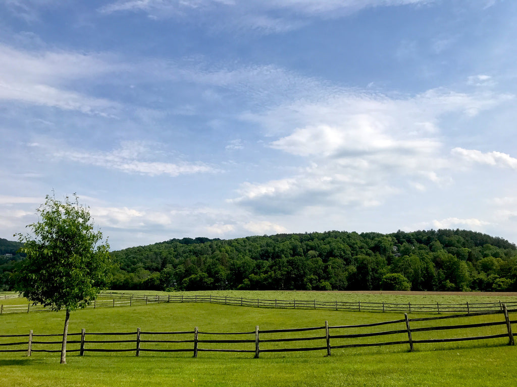 Summer in Woodstock, Vermont